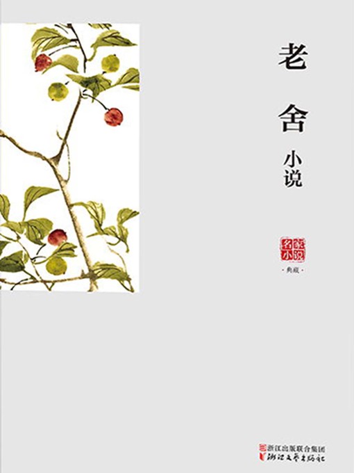 Cover image for 老舍小说